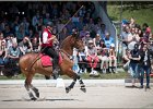 Pferd International 071